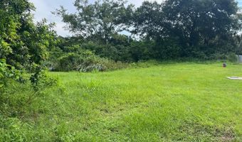 E CLEVELAND STREET E, Apopka, FL 32703