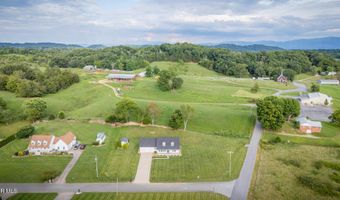 463 Pine Ridge Dr, Afton, TN 37616