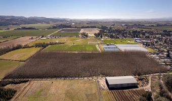 SE Rice Ln, Amity, OR 97101