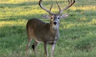 10745 Rosemar Ln, Adkins, TX 78101