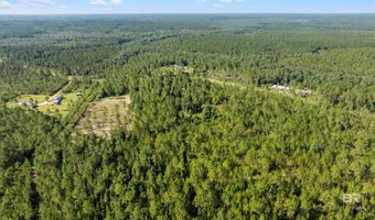 50450 Hollingsworth Rd, Bay Minette, AL 36507