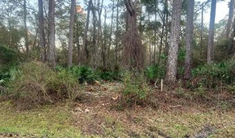 34 Gibson Rd, Apalachicola, FL 32320
