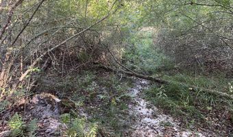 259 Forest Lake Rd, Beaumont, MS 39423