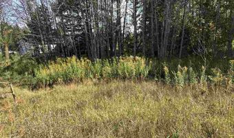 6430 6648 Admirals Point Drive Lot 9 Boat Slip 142, Alanson, MI 49706