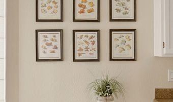 4052 E WILDCAT Dr, Cave Creek, AZ 85331