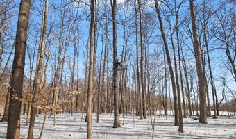 27 Mile Rd, Albion, MI 49224
