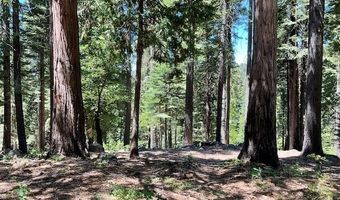 1619 Shoshone Dr, Arnold, CA 95223