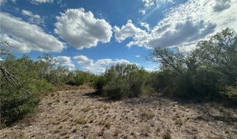 FM 1554 lot 0, Alice, TX 78332