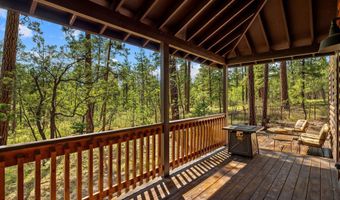 6 County Road 2070, Alpine, AZ 85920