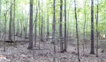 590 247 Country Rd, Bruce, MS 38915