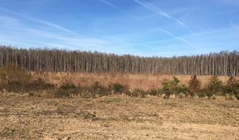 10664 Burton's Ferry Rd, Allendale, SC 29810
