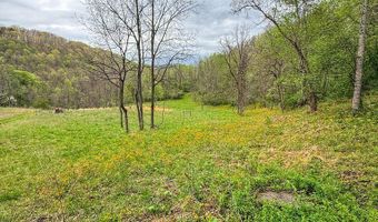 2789 Dry Fork Rd, Bandy, VA 24602