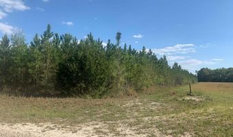 0 42nd Ct, Bell, FL 32619