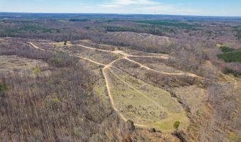 Vista Lane, Bethel Springs, TN 38315