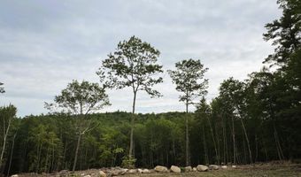 Rines Road 49, Alton, NH 03809