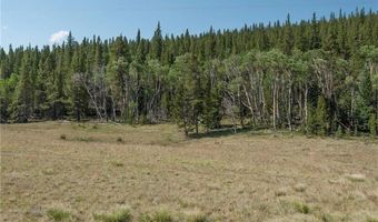 374 High River Ct Lot 4, Alma, CO 80420