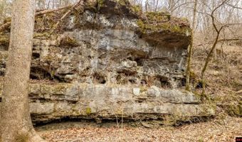 CR 19-A, Alton, MO 65606