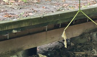 001 Farr Rd, Bolton, MS 39041