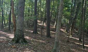 572 Dameron Rd, Ballard, WV 24918