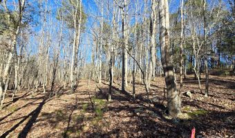 Whisper Lake Drive 118, Badin Lake, NC 28127