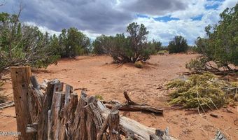 92 CR N5417, Concho, AZ 85924