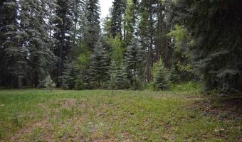 Vallecito Pl, Bayfield, CO 81122