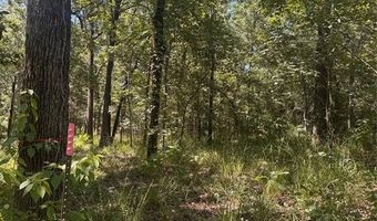 Lot 19 Saddle Creek Ct, Alba, TX 75410