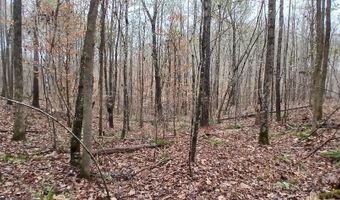 0 VENABLE Rd, Argo, AL 35173