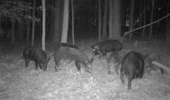 0 Progress Road Rd, Beaumont, MS 39423