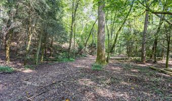 23 59 Ac Chestnut Flats Rd, Andrews, NC 28901