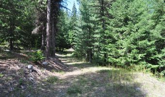 Nna 196 Acres Hwy 95, Bonners Ferry, ID 83805
