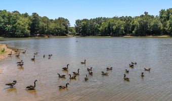 144 RED BAY Dr, Alabaster, AL 35114