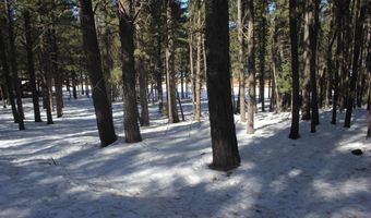 Lot 608 Via Del Rey, Angel Fire, NM 87710