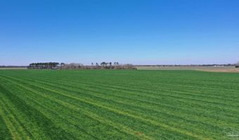 Davis Pond Rd lot 14, Atmore, AL 36502