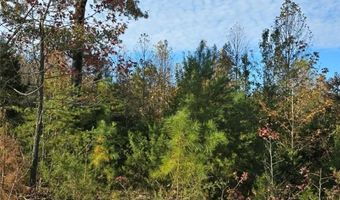Patrick Henry Hwy, Amelia, VA 23002