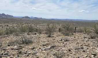 10 Acres 121-02-020, Yucca, AZ 86438
