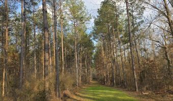 U.S. Highway 51, Bogue Chitto, MS 39629