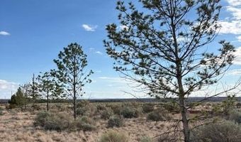 78 Lot S School Bounds / 1600 East Rd 78, Colorado City, AZ 86022