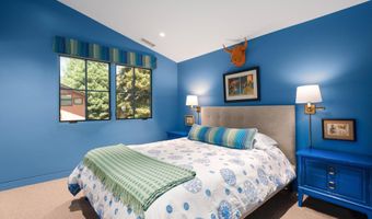614 W North St, Aspen, CO 81611