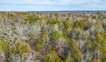 Rocky Pt Loop, Antlers, OK 74523