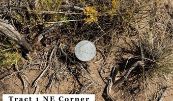 HWY 191, Daniel, WY 83115