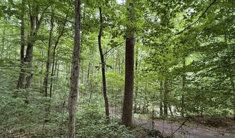 9999 Countryside Est, Barnardsville, NC 28709
