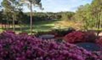 15 Binefar Ln, Hot Springs Village, AR 71909