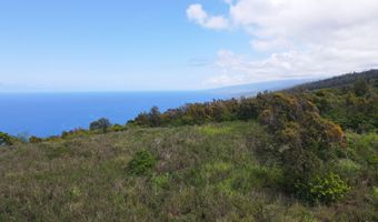 87-451 AHE KOLO Pl, Captain Cook, HI 96704