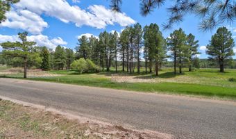 Lot 563 Lakeview Park Drive, Angel Fire, NM 87710