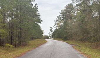 Lot 2 Jacquelyn Court, Bainbridge, GA 39819