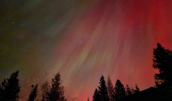 13376 Bug Creek Rd, Bigfork, MT 59911