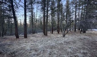 Bobcat Circle, Beatty, OR 97621