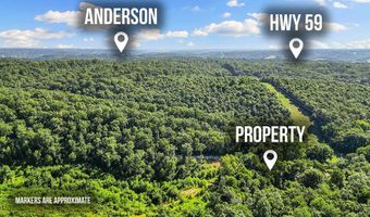 233 Happy Hollow Rd, Anderson, MO 64831