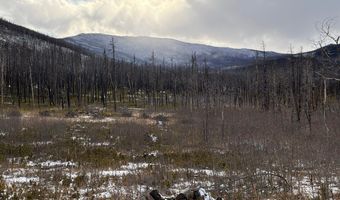 2025 Granite Rd, Bellvue, CO 80512